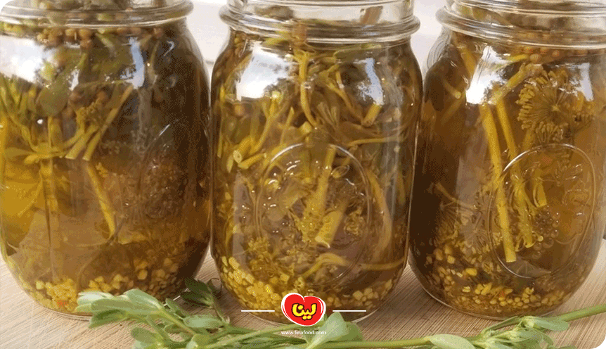 طرز تهیه ترشی خرفه