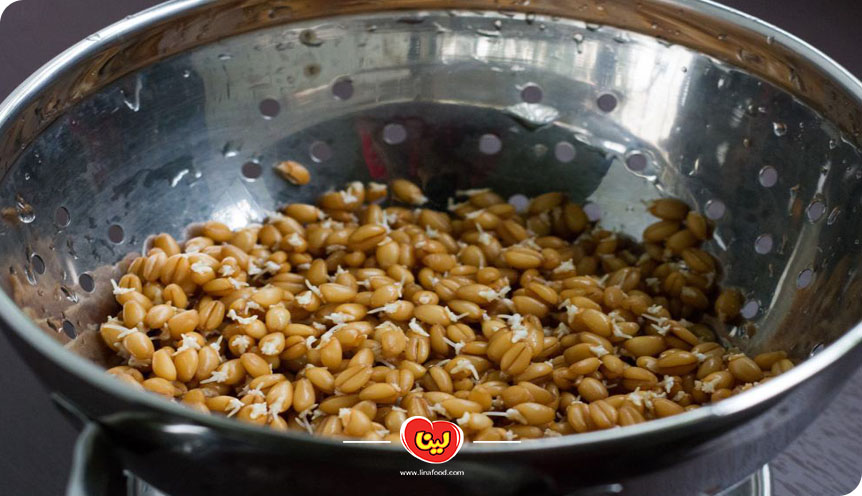 خیساندن جو در آب