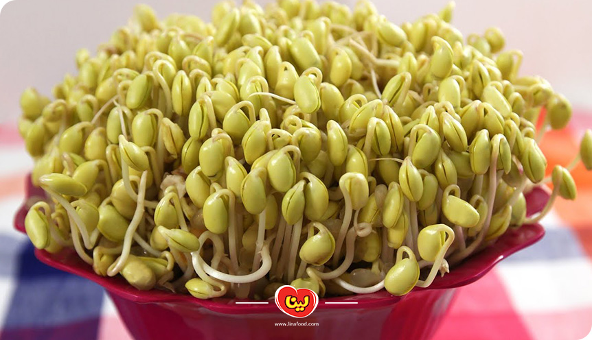 کاشت سبزه سویا عید نوروز